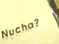 Nucha? (11/13~19)