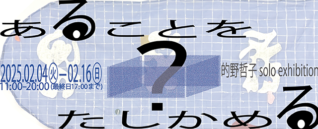 的野哲子 個展「あることをたしかめる」(2/4 - 2/16)